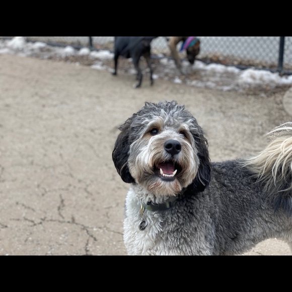 Meet your Posher, T - Picture 1 of 1